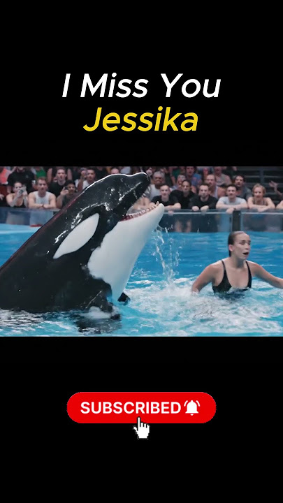 I Miss You Jessica😥 #ai #funny #shortsfeed #jessica #orca