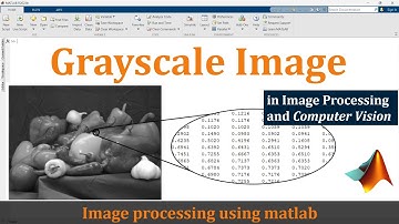 Grayscale image in digital image processing | Grayscale image in matlab