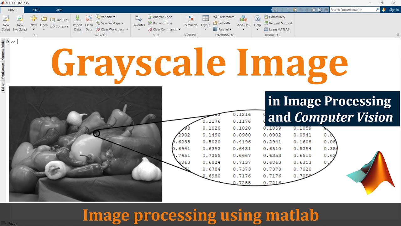 Grayscale image in digital image processing | Grayscale image in matlab