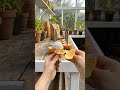 Cement Mushroom Garden Makeover That Looks Straight Out of a Fairytale 🍄