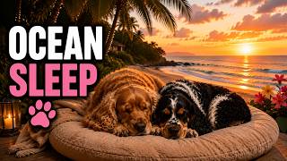 12 Hours of Ocean Waves for Dogs | Relaxing Bedtime Music