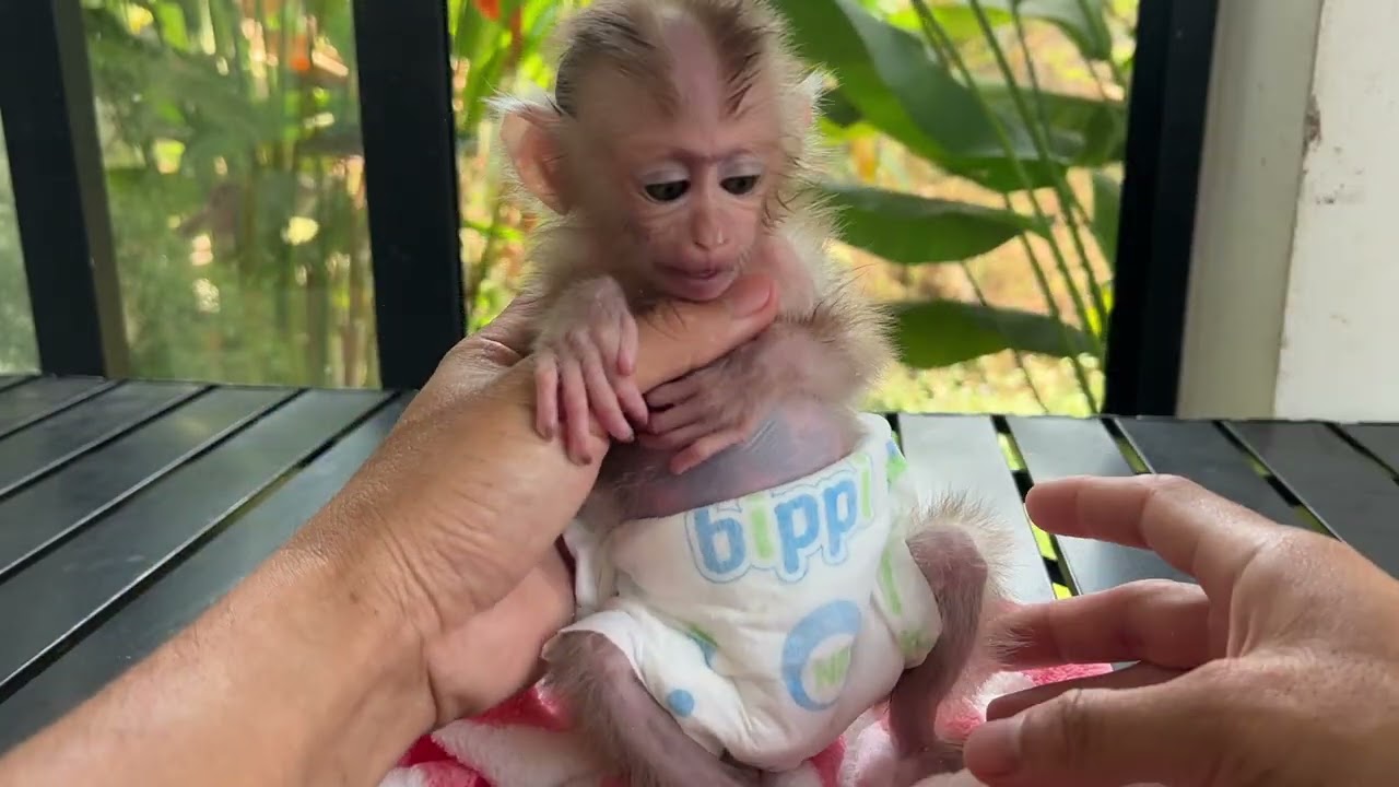 Let's Go Little Girl ...........................ヽ(゜▽゜　)