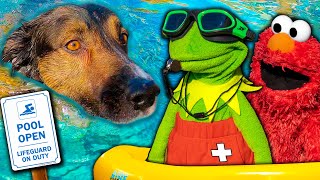 Kermit the Frog and Elmo's Swimming Pool Party! (With Puppy)