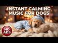 Relaxing Dog Music 12 Hours 🐕 Anti Anxiety &amp; Separation Relief 🎵 Peaceful Pet Sounds (No Ads)