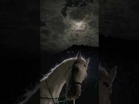 يارب تملينا فرح كثر الغيوم اللي ملت هالدنيا مطر لايك اشتراك لايك اشتراك بالقناه ليصلك كل جديد