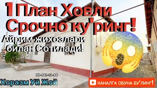 Урганч 🚩 Бол идора ёнида 1 план Ховли жой КЕЛИШИЛГАН НАРХДА  Зудлик блан ! СОТИЛАДИ☎️тел99-541-13-96