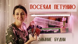 РАНО ПОСЕЯЛА ПЕТУНИЮ! Будни января: рукоделие и готовка #милыйдом