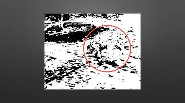 HCI Spring 2019 - Lecture 03: Sensation & Perception (2019-01-22)