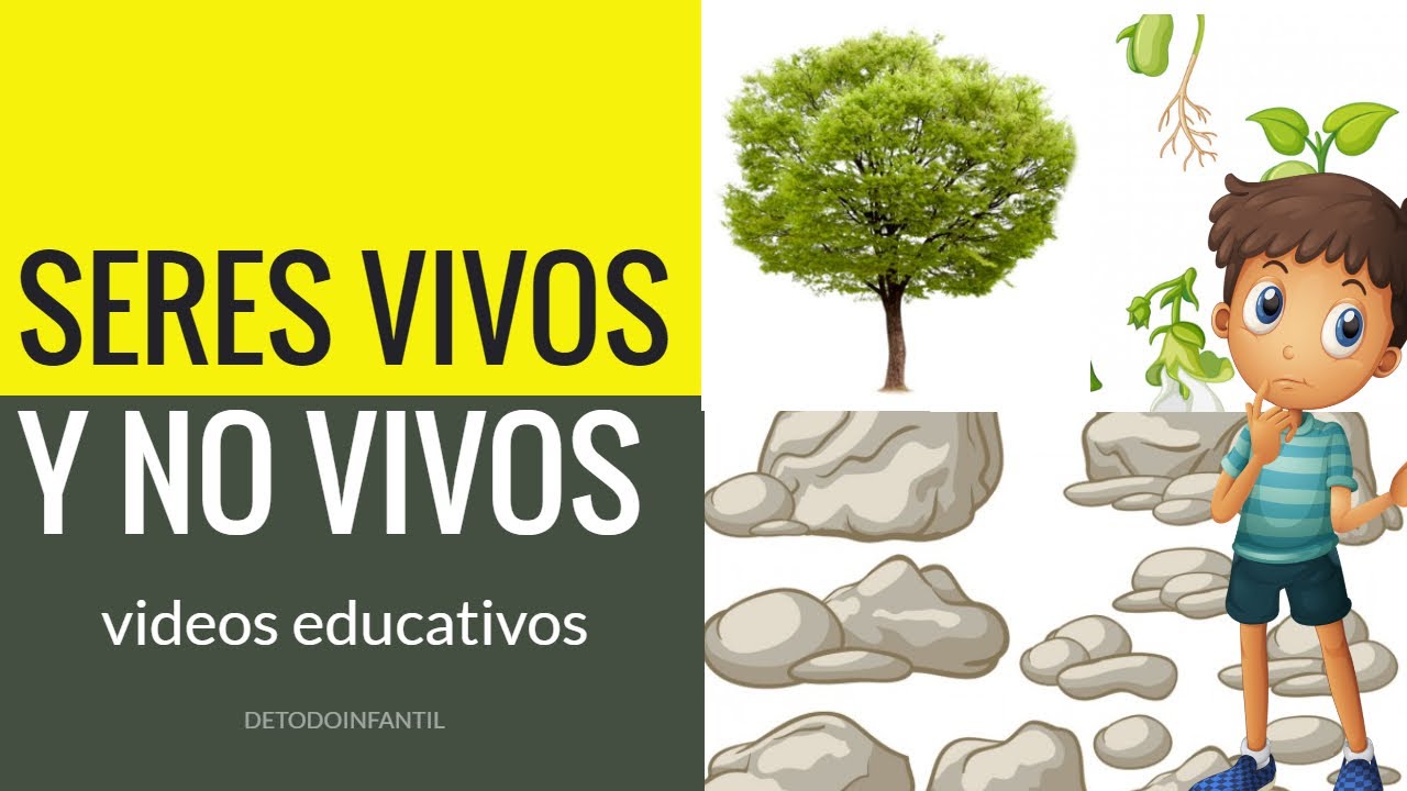 Los Seres Vivos Y No Vivos Videos Educativos Para NiÑos Youtube