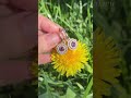 В субботу на прямой эфир Кира Серебро приедут гости из Санкт-Петербурга! Будет живое общение, новые