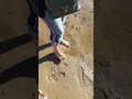 Зыбучие пески 2