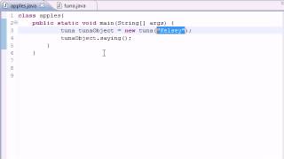 Java Programming Tutorial   17   Constructors Information