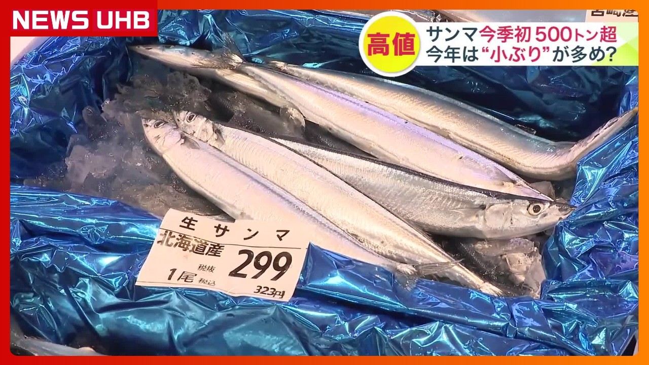 Record 500-Ton Pacific Saury Haul This Season] Fishermen Divided
