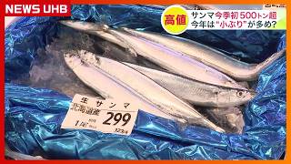 [Record 500-Ton Pacific Saury Haul This Season] Fishermen Divided: "Getting Bigger" vs. "No Big F... サンマ