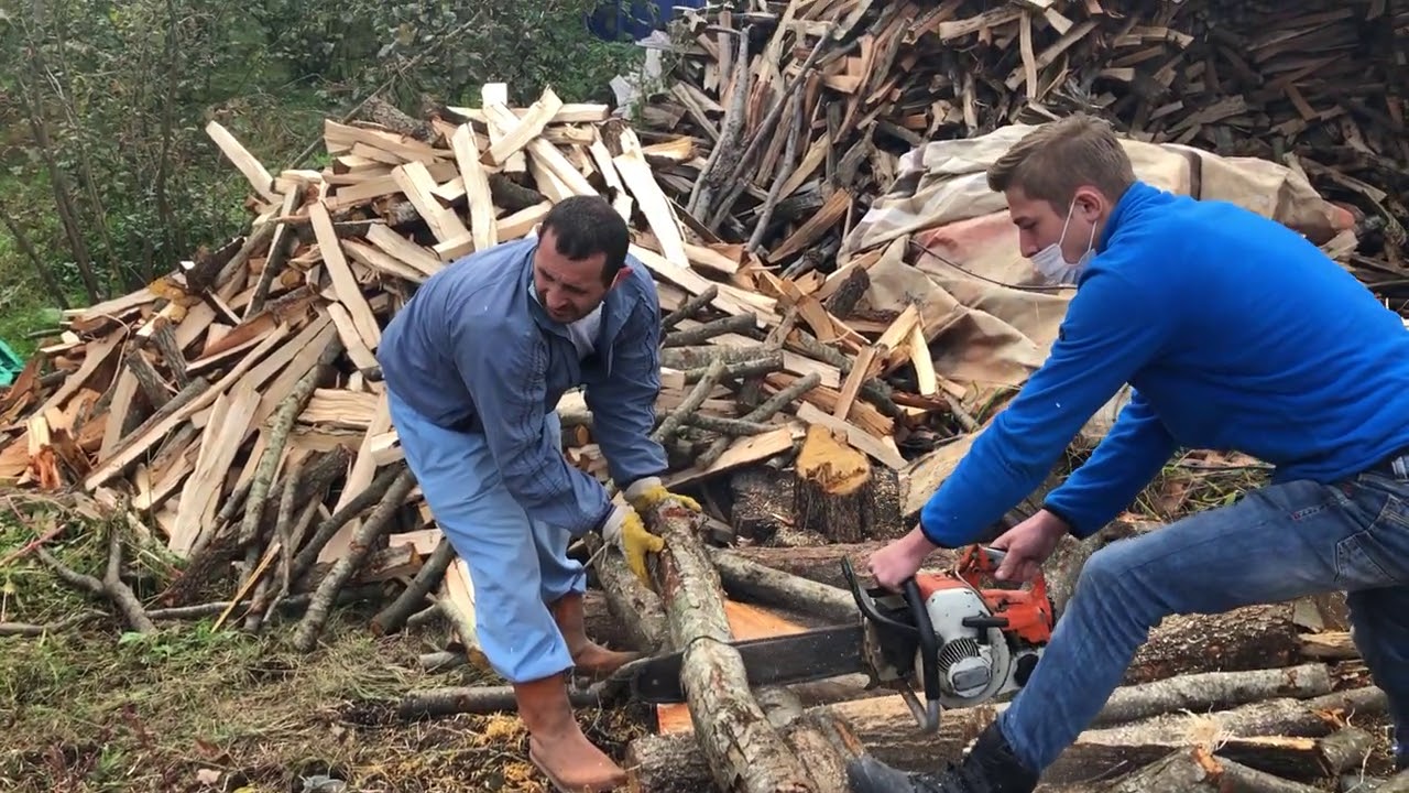 STIHL 08 MOTORLU TESTERE FIRIN ODUNU KESME (MOTOR AYARLANMADAN ÖNCEKİ HALİ)(STIHL 08 MOTOR SAW)