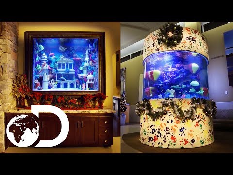 The Ultimate Christmas Fish Tanks! | Tanked
