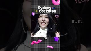 Sydney🇦🇺 🦜Cockatoo #Kard #Somin #카드 #전소민 #Shorts