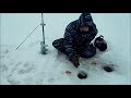 Рыбалка под сурским мостом на суре 3 (5  02  2017г)