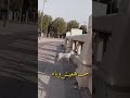 إليسا دايما قلبي على دا الحال
