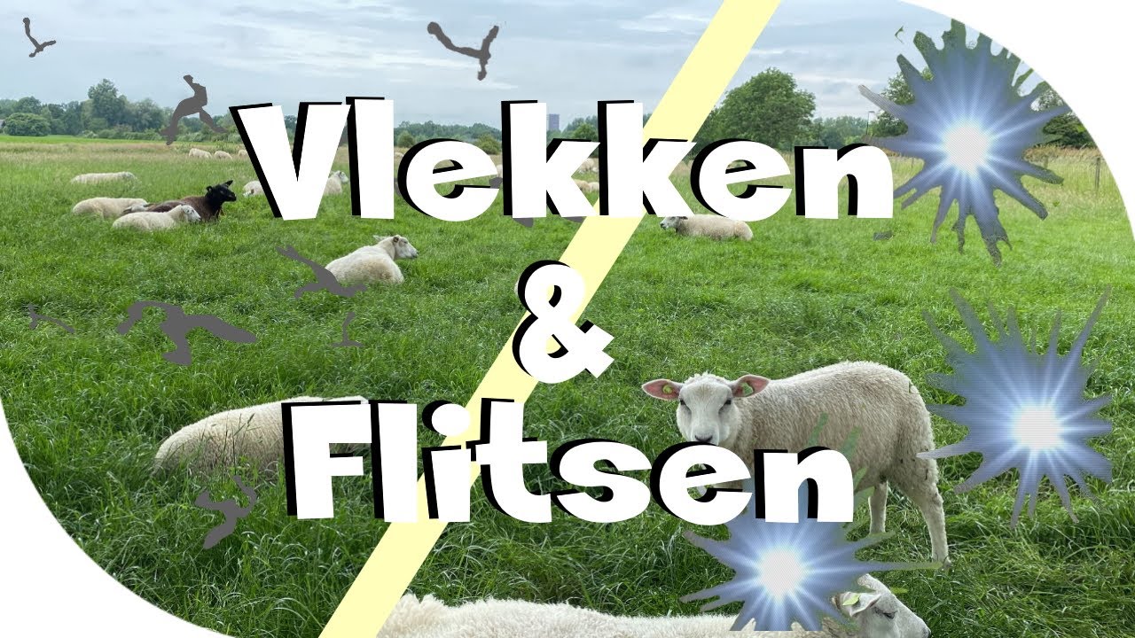 Vlekken & Flitsen - Naar welke specialist?