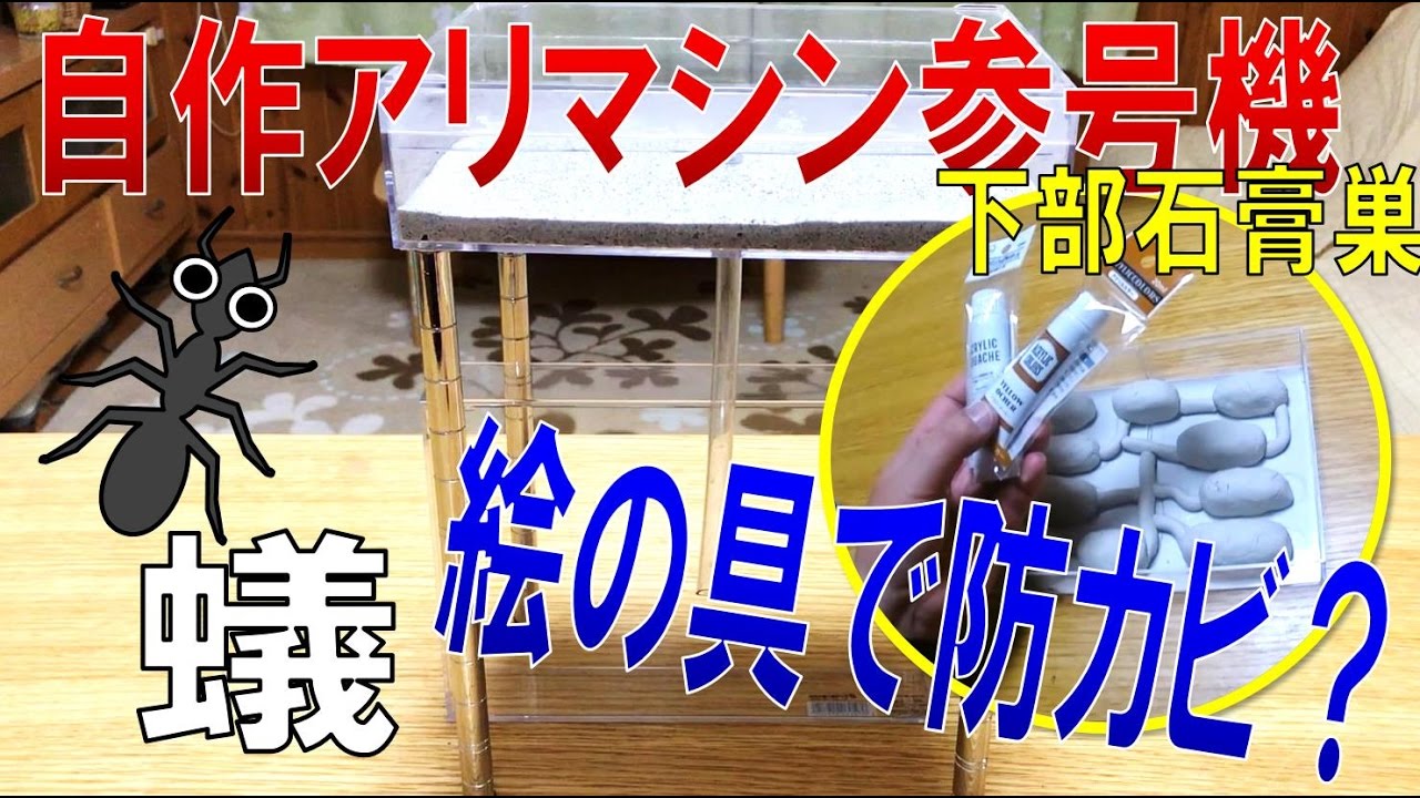 アリ飼育観察 アリマシン参号機下部石膏巣 絵の具で防カビ