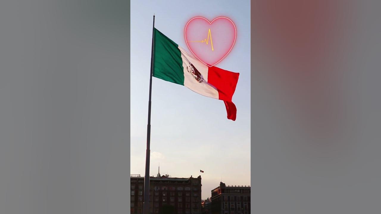shortsvideo 🧡💚 QUE LEJOS ESTOY DEL SUELO DONDE HE NACIDO YouTube shortsvideo 🧡💚 QUE LEJOS ESTOY DEL SUELO DONDE HE NACIDO YouTube