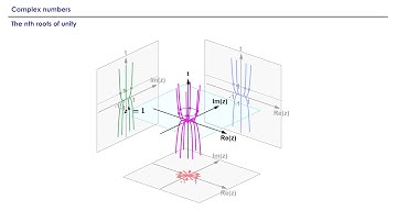 The nth roots of unity