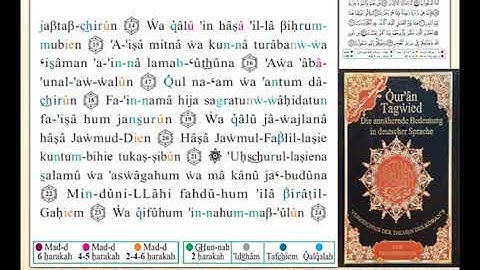 ختمة من مصحف التجويد باللغة الألمانية الصفحة رقم 446
