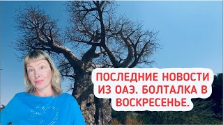 картинка: Последние новости из ОАЭ. Болталка в воскресенье.