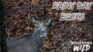 Rainy Day Rut Hunt in New Jersey | BOWHUNTING