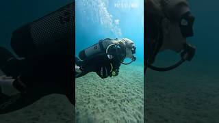 In . I Do Love So Much - Miss Jessica Wood