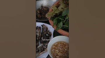 Cuộc sống vất vả || Bữa cơm đạm bạc || Chill Music 797 #chillmusic797 #xuhuong