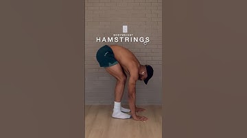 Bodyweight Hamstrings - Level 1 - 4 #shorts #hamstrings