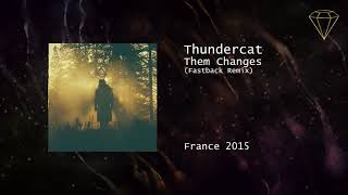 Thundercat - Them Changes (Fastback Remix)