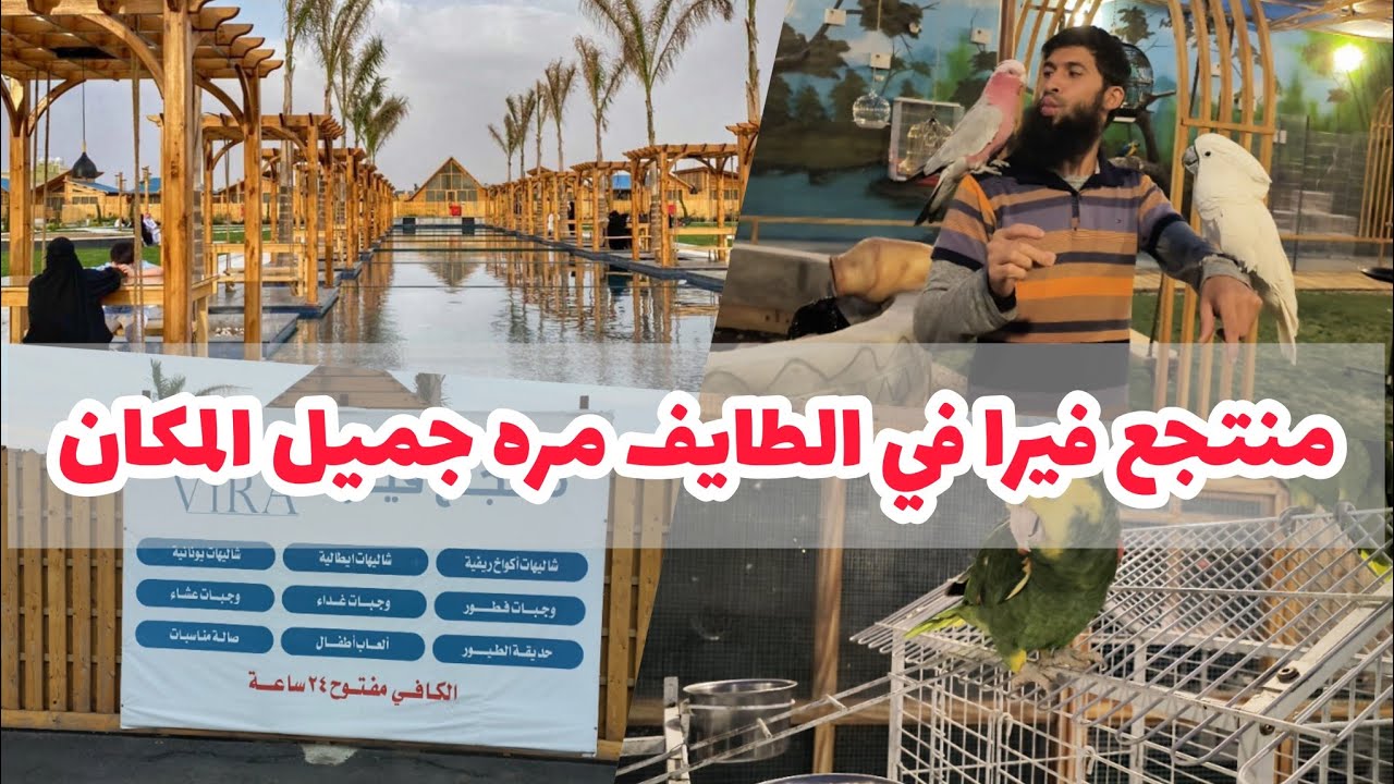 جولة و تغطية لأحد المنتجعات منتجع فيرا في الطائف السيل الصغير | منتجع فيرا جميل جداً لا يفوتكم