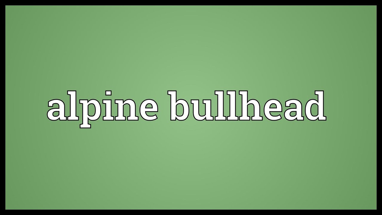 Alpine bullhead Meaning