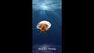 Bizarre Blind Fish: Surviving Without Eyes in Darkness