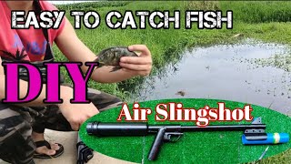 Best & Easy to catch fish
