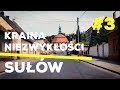 #3 Vlog // Kraina Niezwykłości // Sułów  #Stawy Milickie