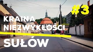 #3 Vlog // Kraina Niezwykłości // Sułów  #Stawy Milickie