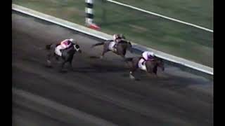 Coronado's Quest Wins 4th Straight: Million Dollar Colt!