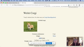 Using Immersive Reader on Microsoft Edge