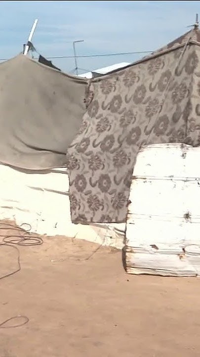              
 - نشر قبل 1 دقيقة