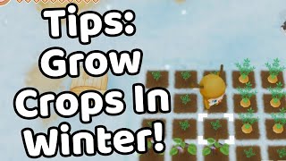 Story of Seasons Friends Of Mineral Town Tips - How To Grow Crops In Winter! [English]