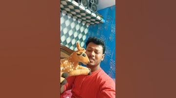 Rails Shorts You Never Knew Existed! #Shorts #video