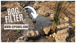 Bog filter in a stream| DIY Pond build