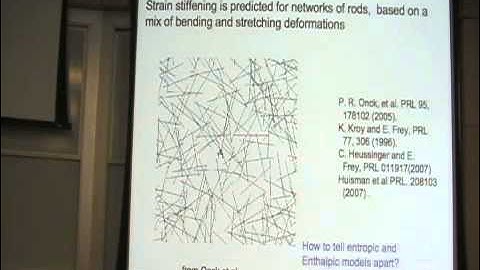 Response of Cells to Nonlinear Elastic Substrates