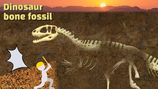 공룡 뼈 | Dinosaur fossil discovered | Dinosaur skeleton | 카마라사우루스-Camarasaurus+4 Dinosaur bone | 공룡의 뼈