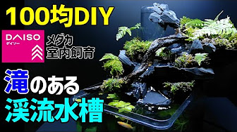 メダカの 滝水槽 How To Make A Waterfall Fountain Aquarium Aquaterrarium Moss Terrarium Youtube メダカの 滝水槽 How To Make A Waterfall Fountain Aquarium Aquaterrarium Moss Terrarium Youtube