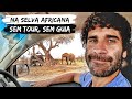 SAFARI NA ÁFRICA POR CONTA PRÓPRIA Experiência Surreal SAFARI NA ÁFRICA POR CONTA PRÓPRIA Experiência Surreal